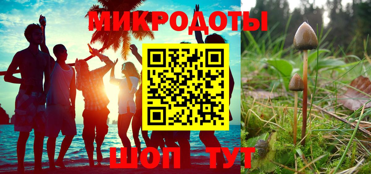 Псилоцибиновые грибы Psilocybe Шелехов